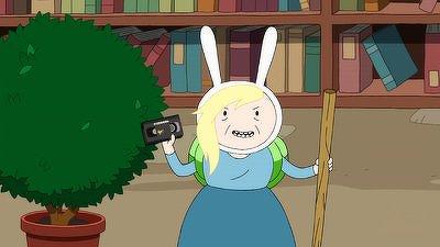 Fionna and Cake and Fionna Summary