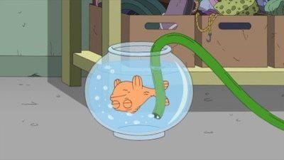 Da Flippity Flop Summary