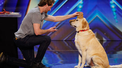 Auditions 9 Summary