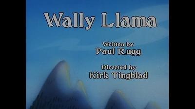 Yakko's Universe Summary