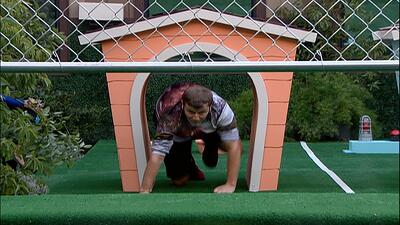 Week 10 Eviction Summary