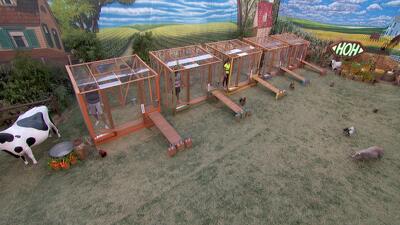 Live Eviction 11, Head of Household 12 Summary