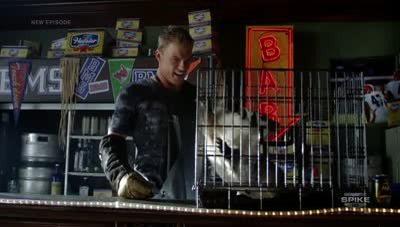 The Badger Summary