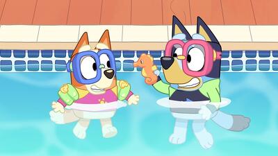 The Pool Summary