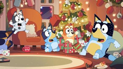 Verandah Santa Summary