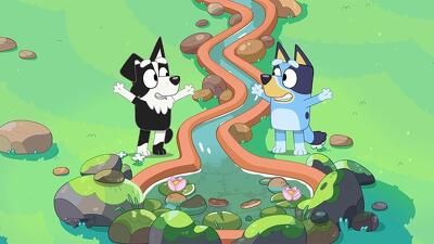 Barky Boats Summary