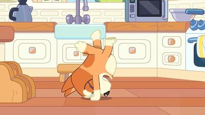 Handstand Summary