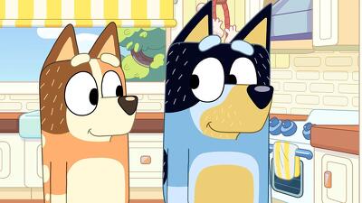 Mini Bluey Summary