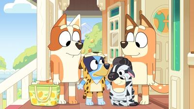 Onesies Summary