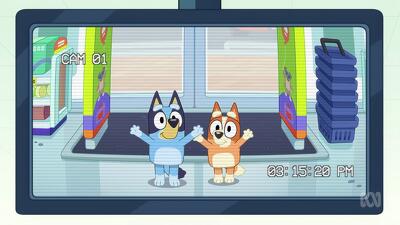 Tv Shop Summary