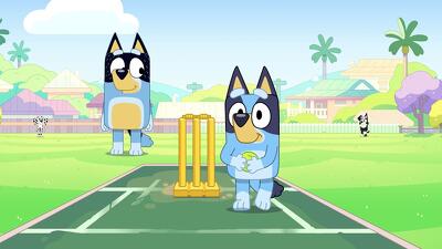 Cricket Summary