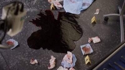 A Shot in the Dark Summary