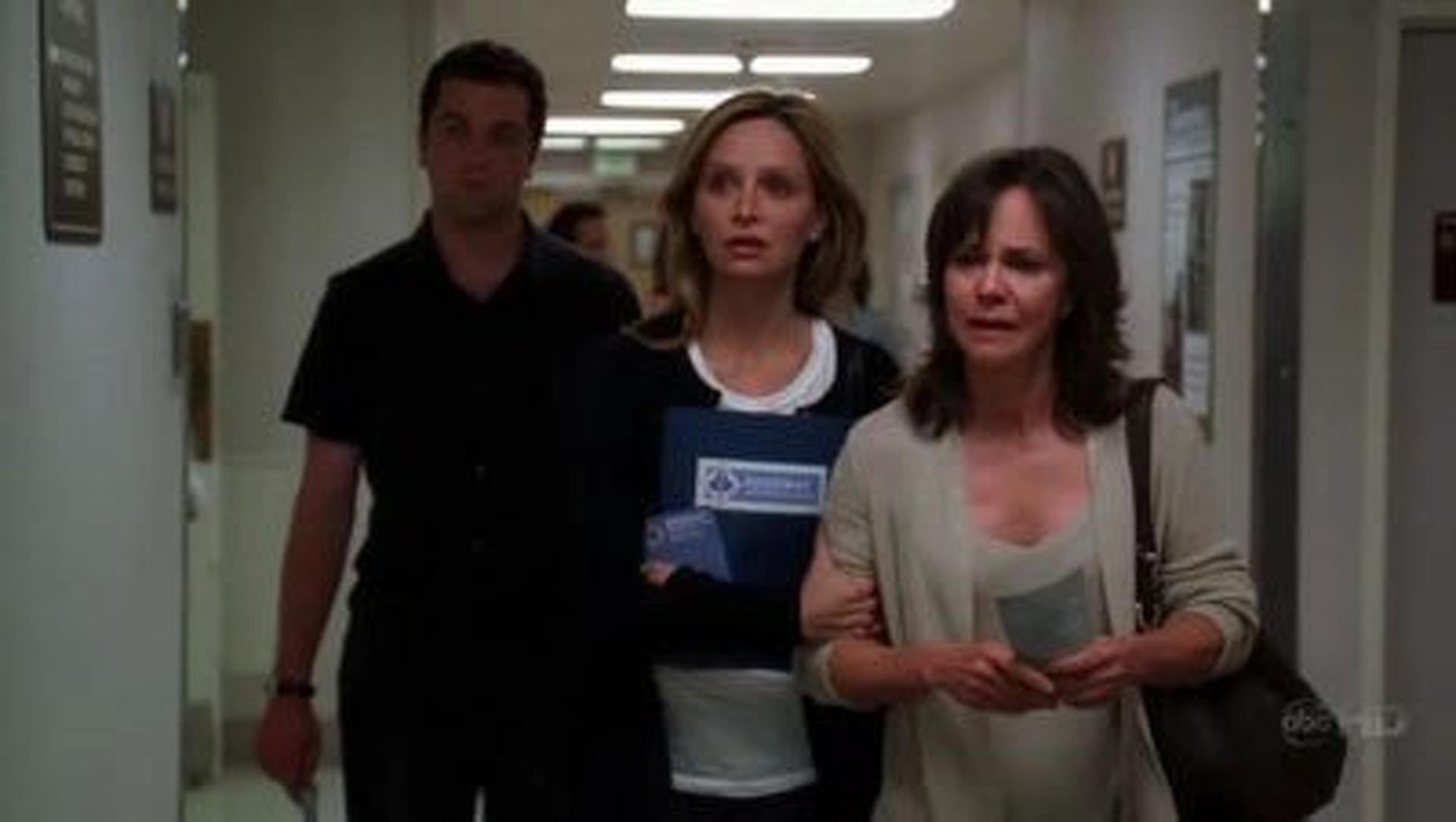 Brothers & Sisters (S02E02) An American Family Summary Season 2