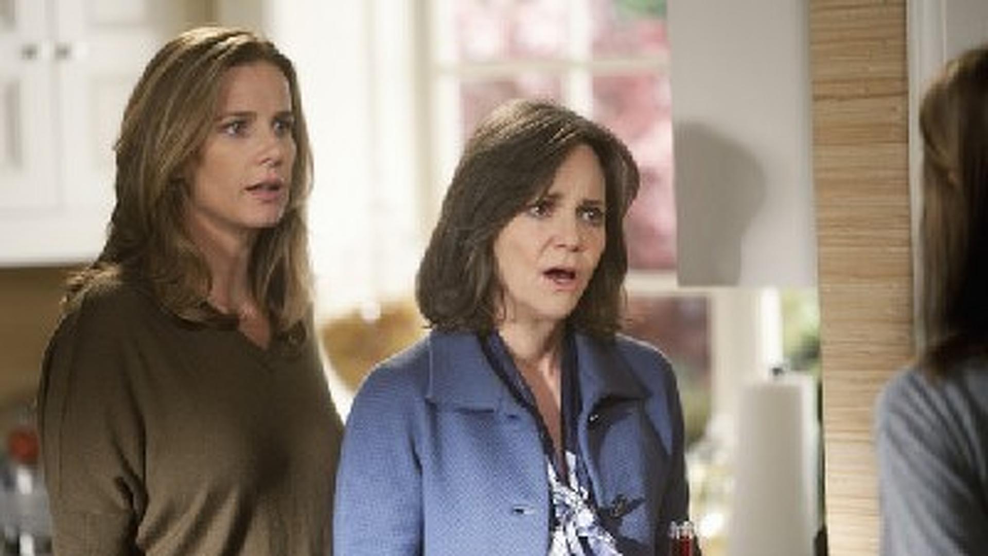 Brothers & Sisters (S04E07) The Wig Party Summary Season 4 Episode 7