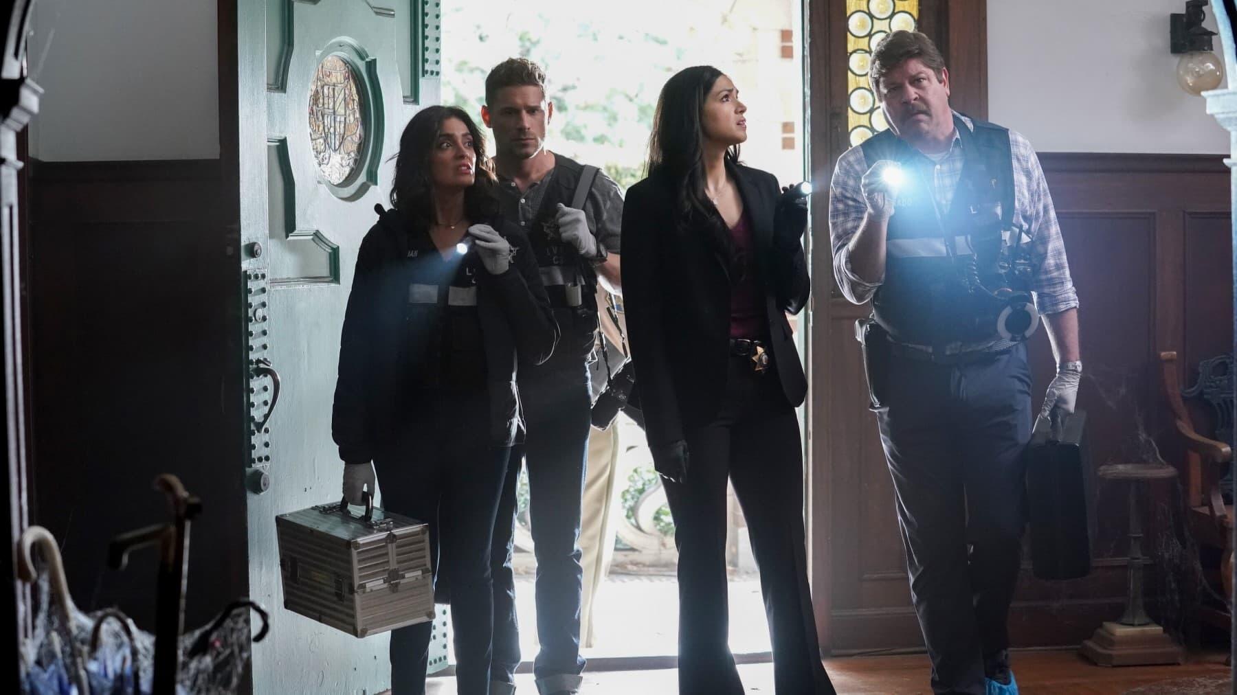 CSI: Vegas (S02E19): Dead Memories Summary - Season 2 Episode 19 Guide