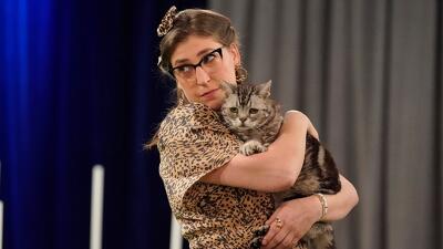 Call Me Pretty Kitty Summary