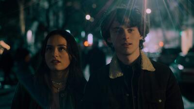 Scenes From Private Life Summary
