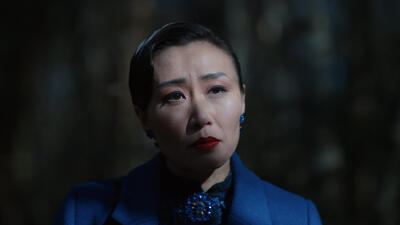 The Heavens Will Fall Summary