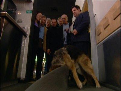 The Corpse-Sniffing Dog Summary