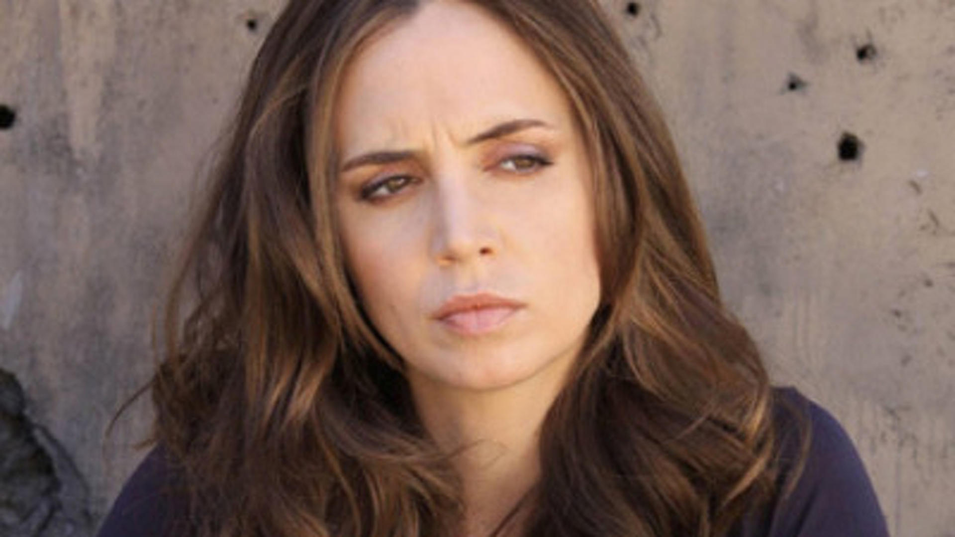 Dollhouse (S02E10) The Attic Summary Season 2 Episode 10 Guide