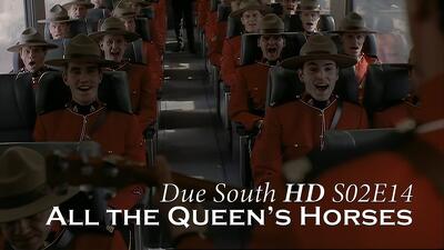 All the Queen's Horses Summary