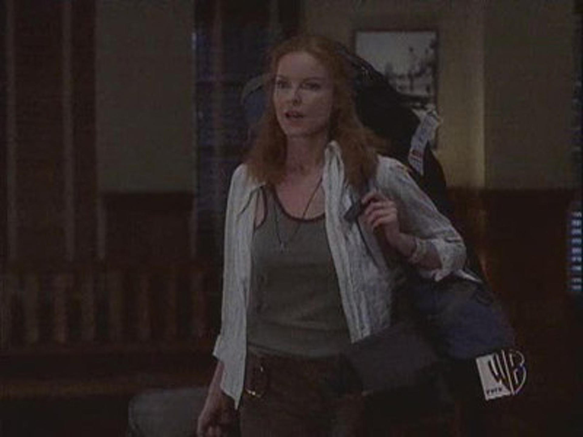 Everwood (S02E03) My Brother's Keeper Summary Season 2 Episode 3 Guide