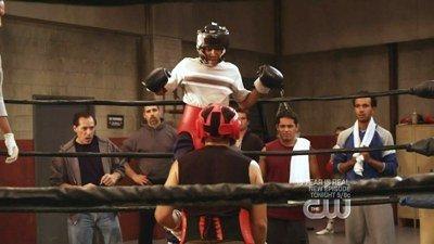 Everybody Hates Boxing  Summary