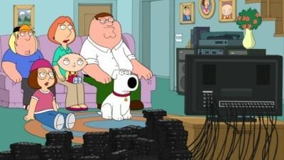 All in the Nielsen Family Summary