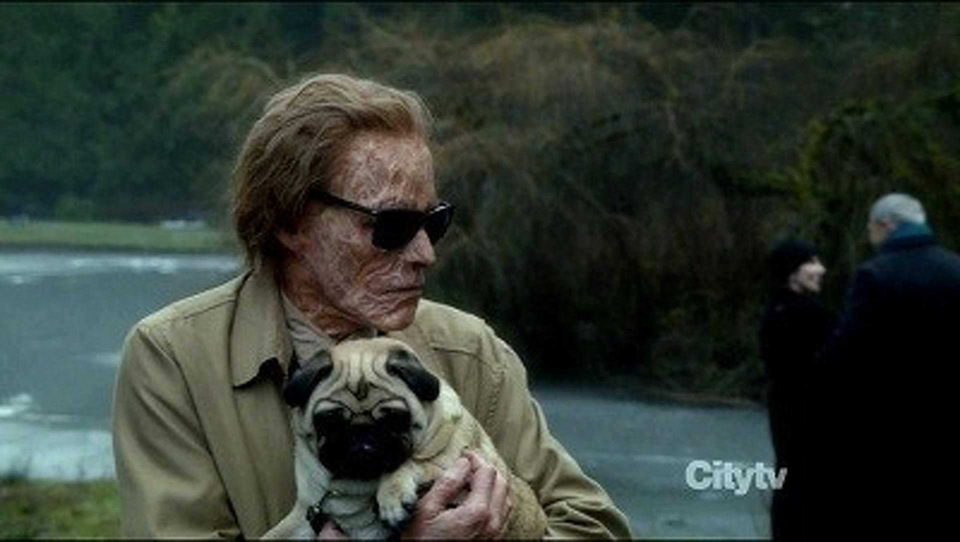 Fringe (S04E15) A Short Story About Love Summary Season 4 Episode 15