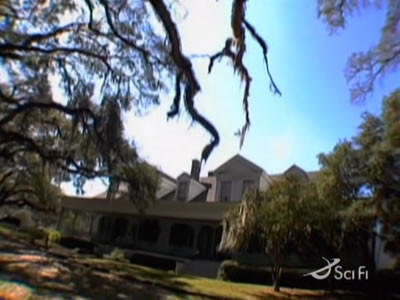 Myrtle's Plantation Summary