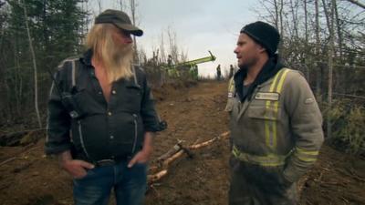 The Viking Detective Summary