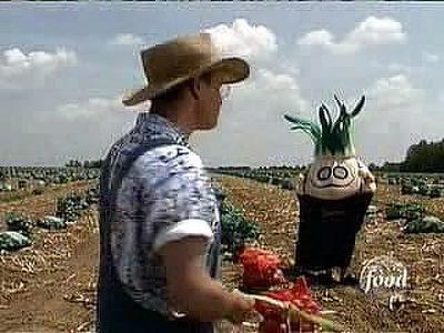 A Bowl of Onion Summary