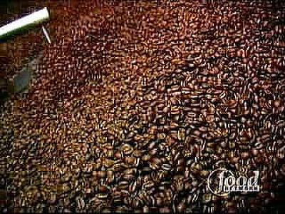 True Brew Summary