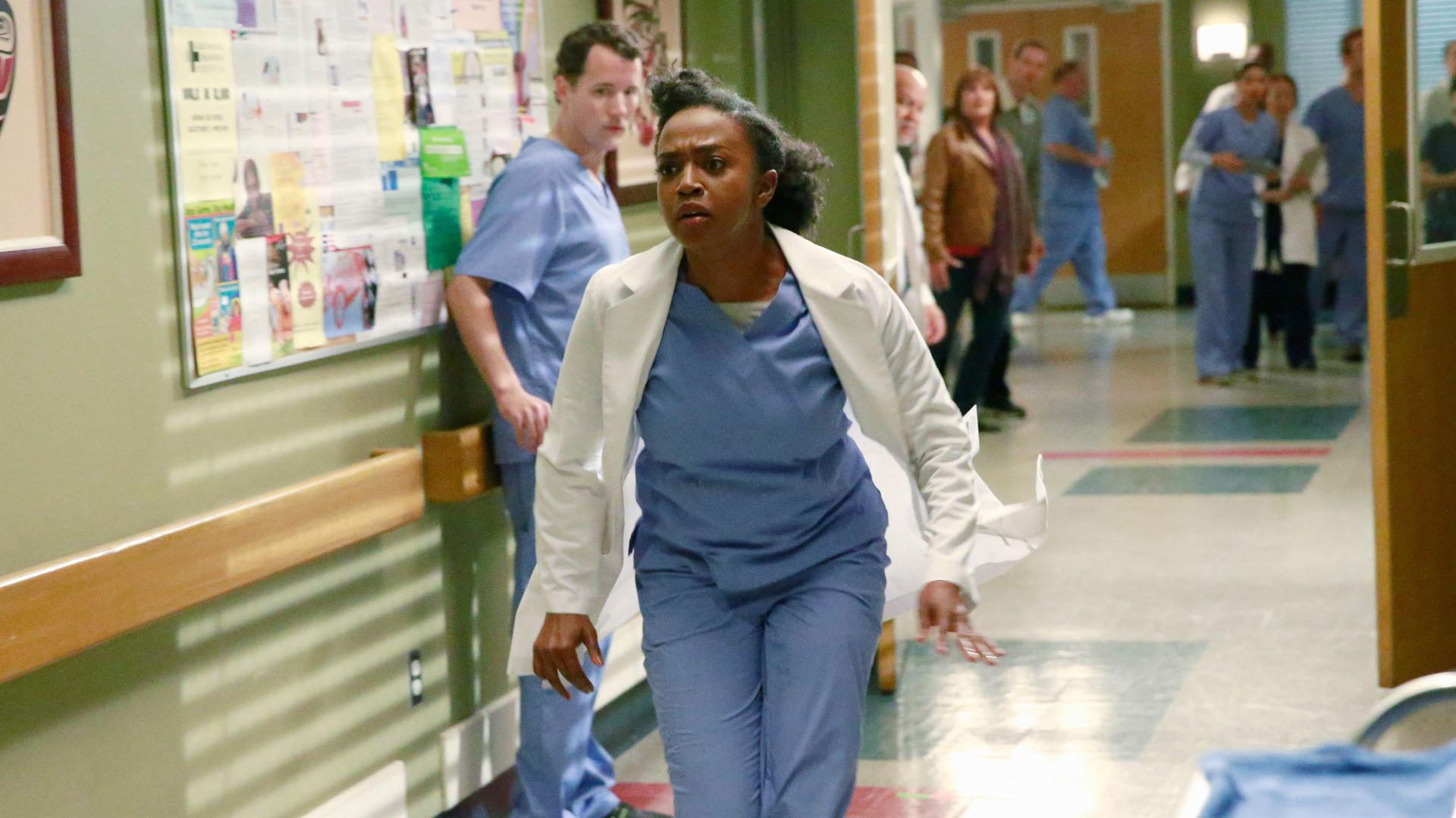 Greys Anatomy (S11E19) Crazy Love Summary Season 11 Episode 19