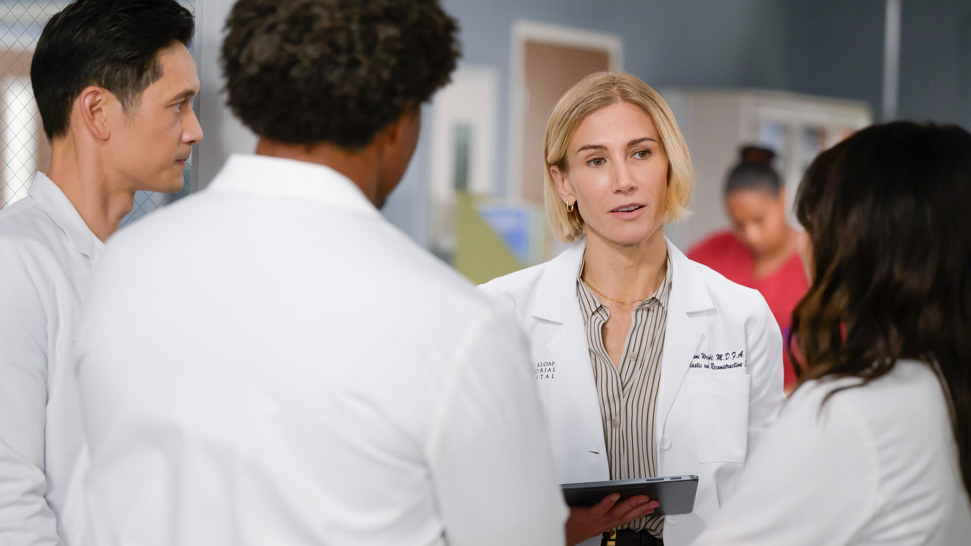 Greys Anatomy (S22E11): (If You Want It) Do It Yourself Summary - Season 22 Episode 11 Guide