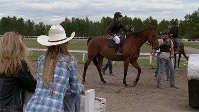 The Starting Gate Summary