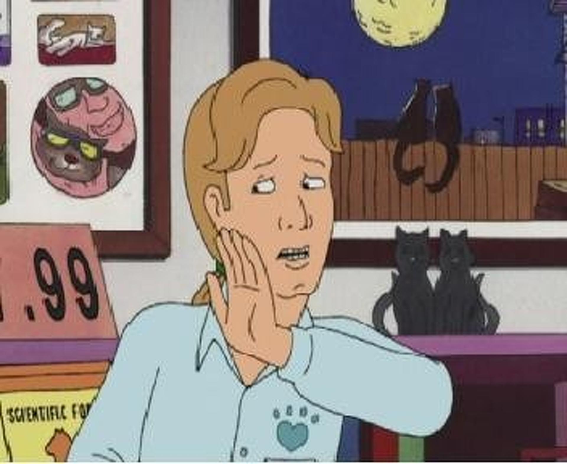 King of the Hill (S09E06) The Petriot Act Summary Season 9 Episode 6