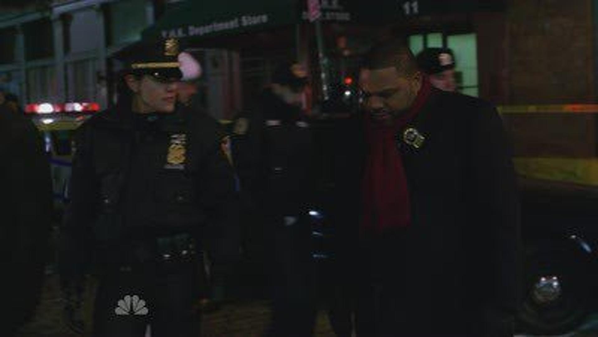 Law & Order (S19E09): By Perjury Summary - Season 19 Episode 9 Guide