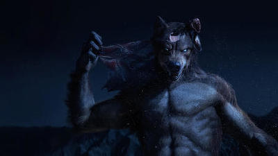 Shape-Shifters Summary