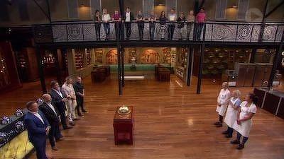Immunity Challenge Summary