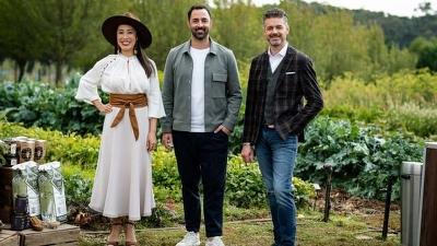 Vego (Elimination Challenge) Summary