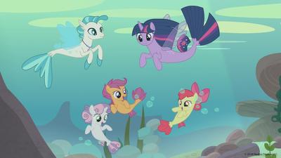 Surf and/or Turf Summary