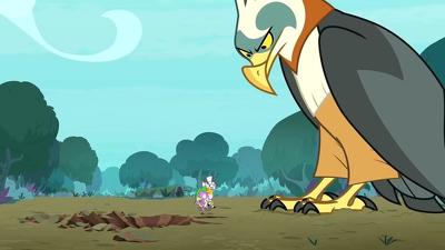 Molt Down Summary