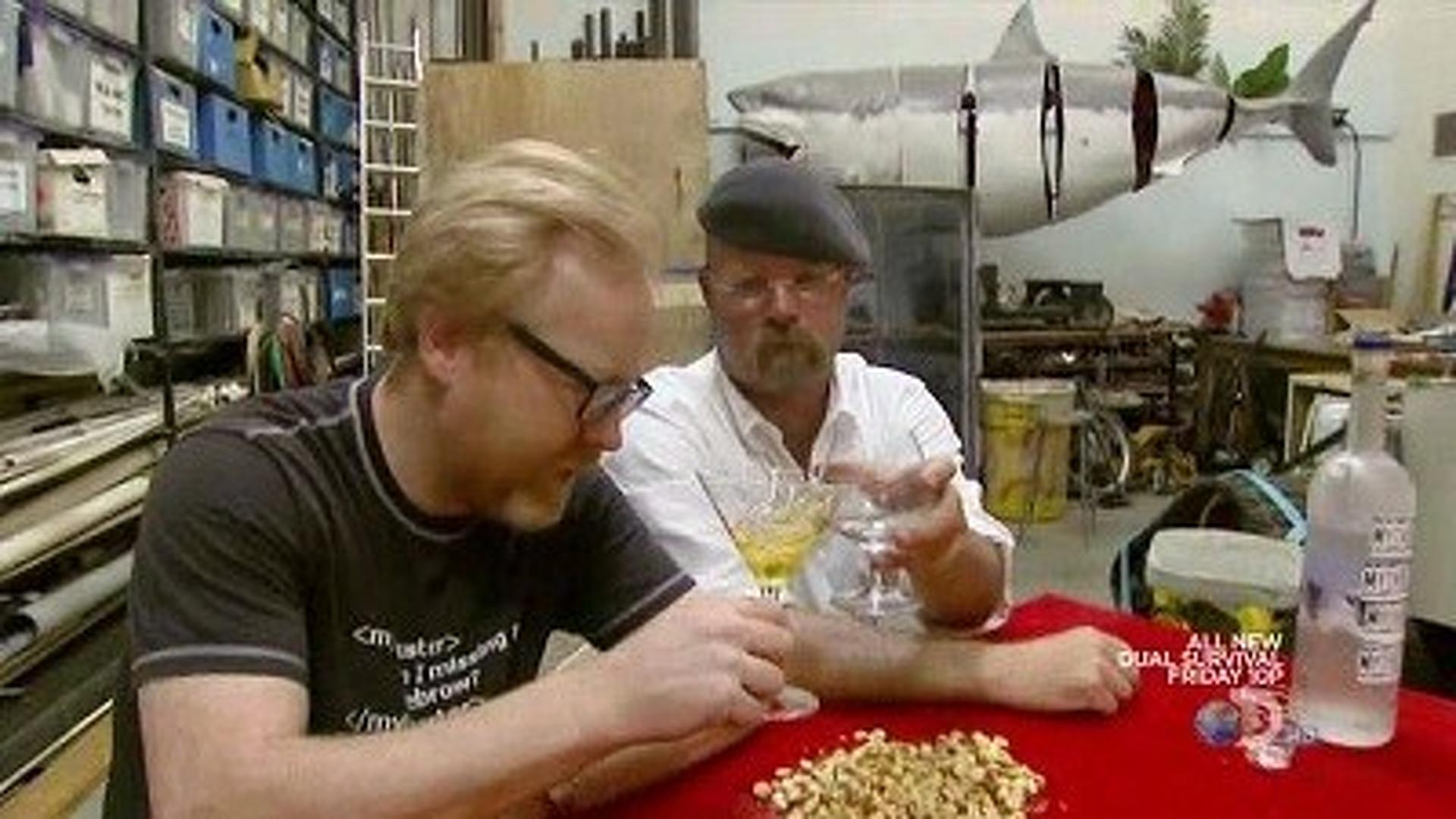 MythBusters (S08E22) Arrow Machine Gun Summary Season 8 Episode 22 Guide