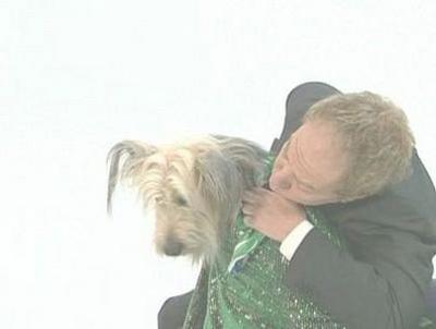 Pet Love Summary