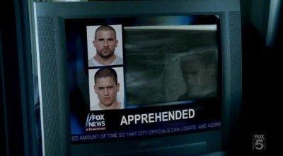 The Killing Box Summary