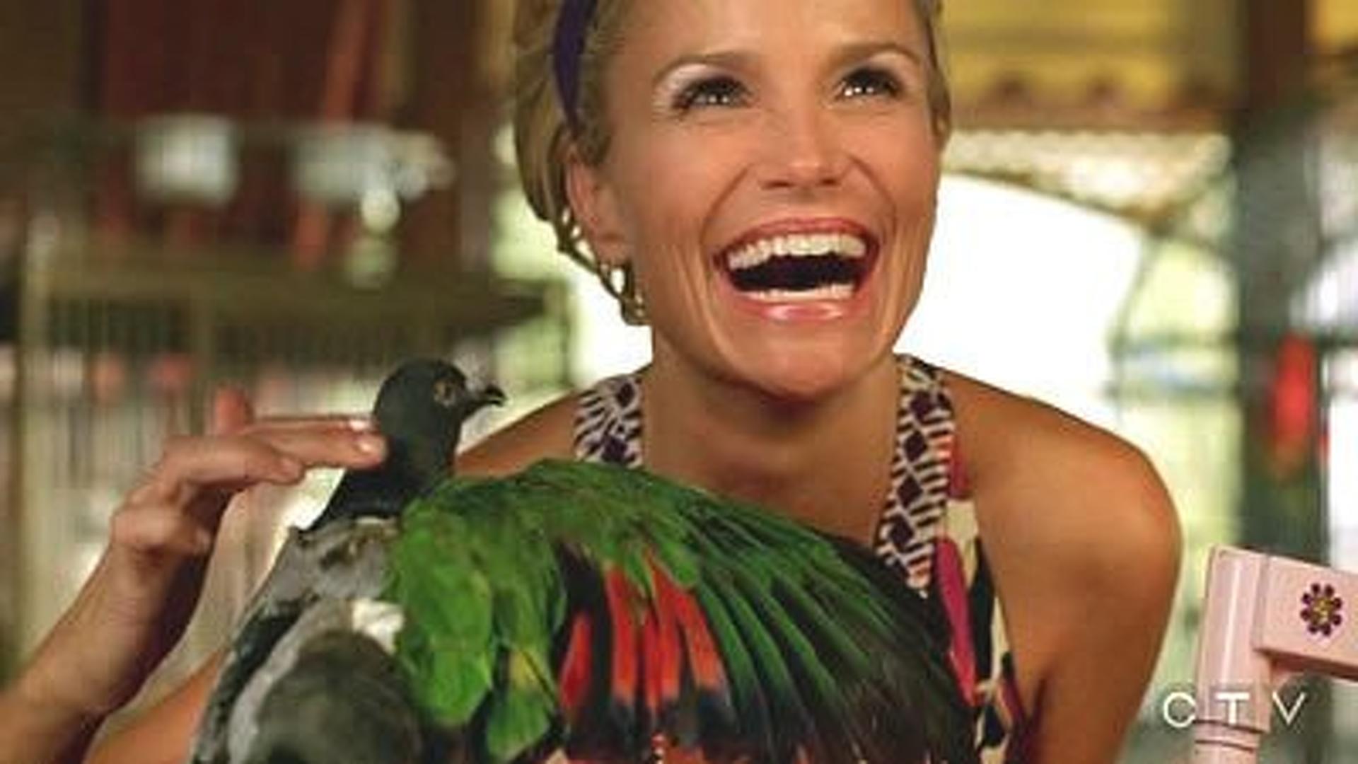 Pushing Daisies (S01E04): Pigeon Summary - Season 1 Episode 4 Guide