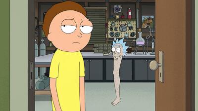 Rickfending Your Mort Summary