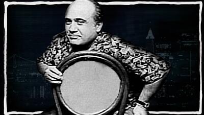 Danny DeVito/The Bangles Summary