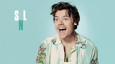 Harry Styles Summary